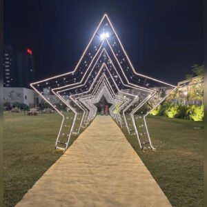 Star Entry (10 Frame)