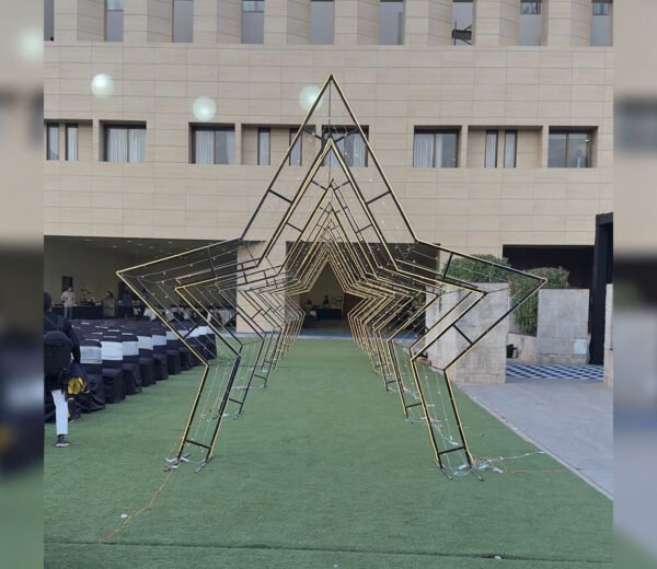 Star Entry (10 Frame) - Image 4