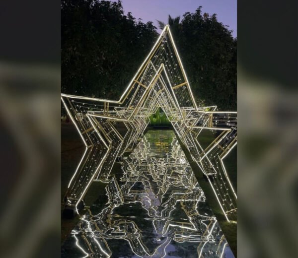 Star Entry (10 Frame) - Image 3