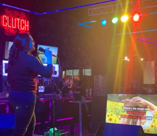 Karaoke MIC - Image 2