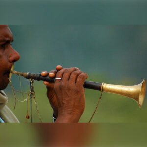 Shehnai Vadak