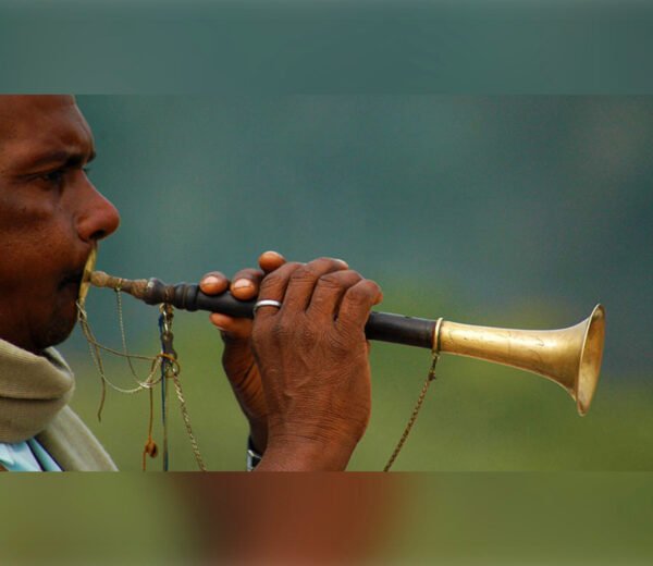 Shehnai Vadak